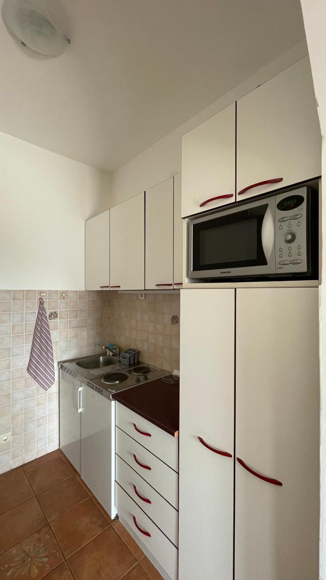 Apartment Tatjana Petrovac 외부 사진